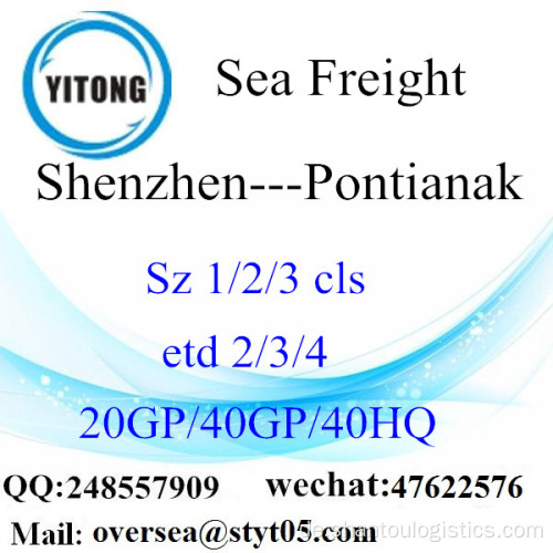 Shenzhen Port Seefracht Versand nach Pontianak